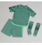 Strój piłkarski Celtic Koszulka Trzeciej dziecięce 2023-24 Krótki Rękaw (+ Krótkie spodenki)