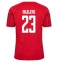 Strój piłkarski Dania Pierre-Emile Hojbjerg #23 Koszulka Podstawowej MŚ 2022 Krótki Rękaw