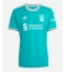 Strój piłkarski Liverpool Hugo Ekitike #22 Koszulka Trzeciej 2025-26 Krótki Rękaw