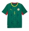 Strój piłkarski Senegal Idrissa Gueye #5 Koszulka Wyjazdowej MŚ 2026 Krótki Rękaw Strój piłkarski Senegal Idrissa Gueye #5 Koszulka Wyjazdowej MŚ 2026 Krótki Rękaw